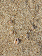 Shell Charm Necklace