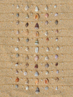 Shell Charm Necklace