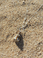 Cone Shell Necklace