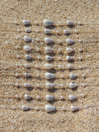 Cone Shell Choker / White Pearls