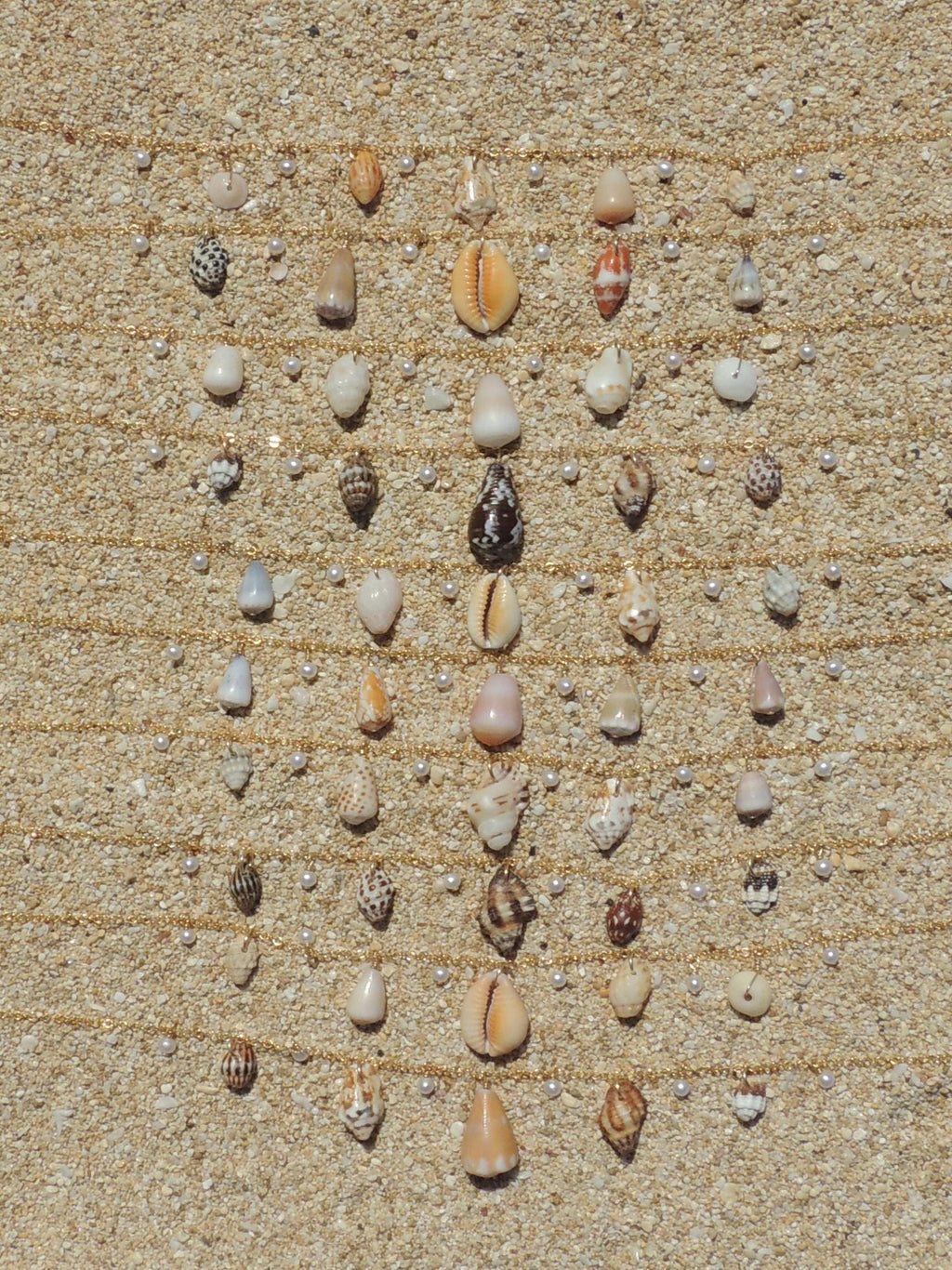 Shell Charm Necklace