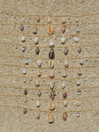 Shell Charm Necklace