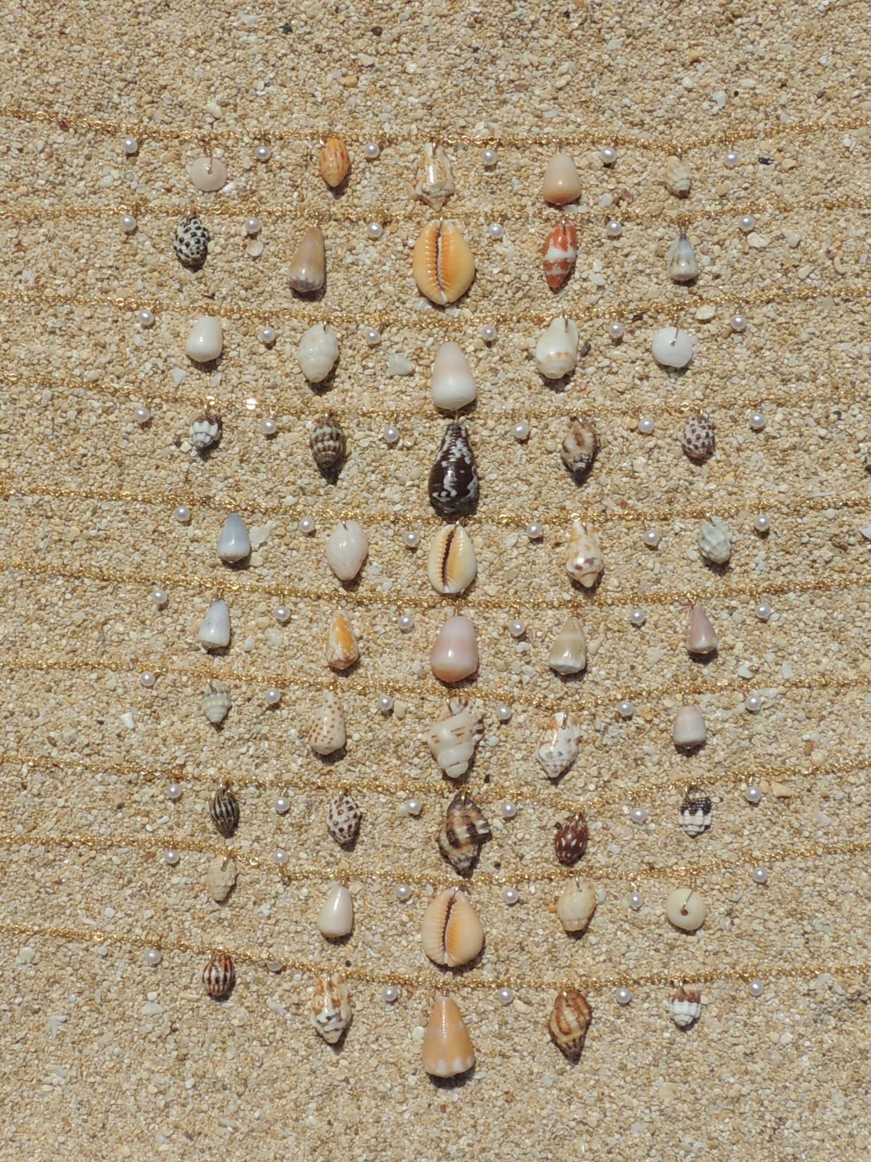 Shell Charm Necklace