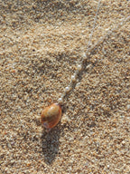 Honey Cowrie Shell Lariat Necklace