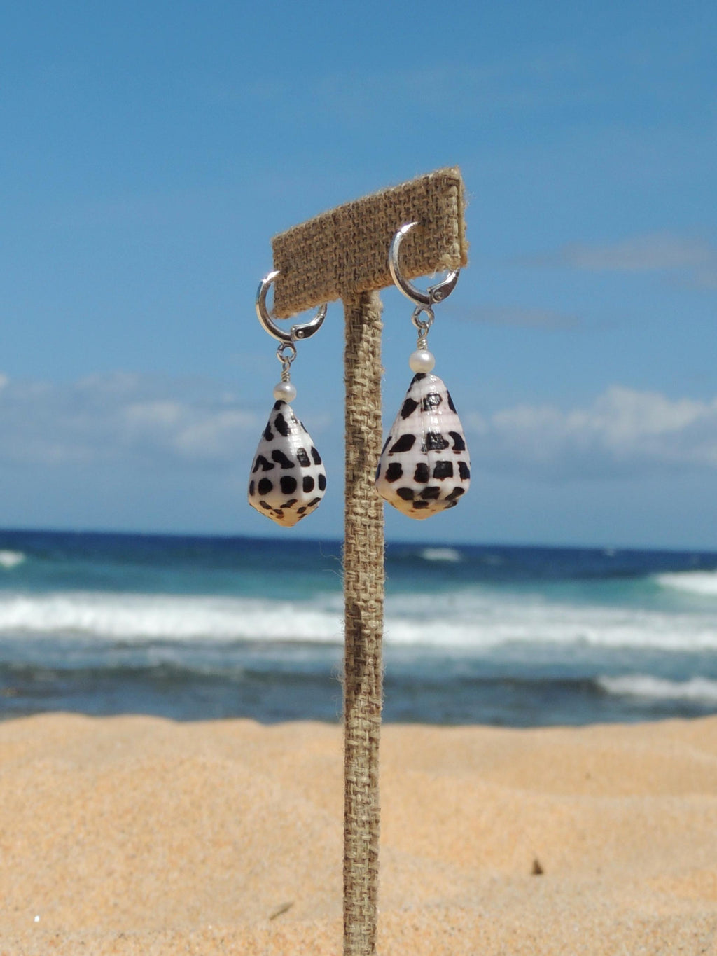 Hebrew Cone Shell Huggies