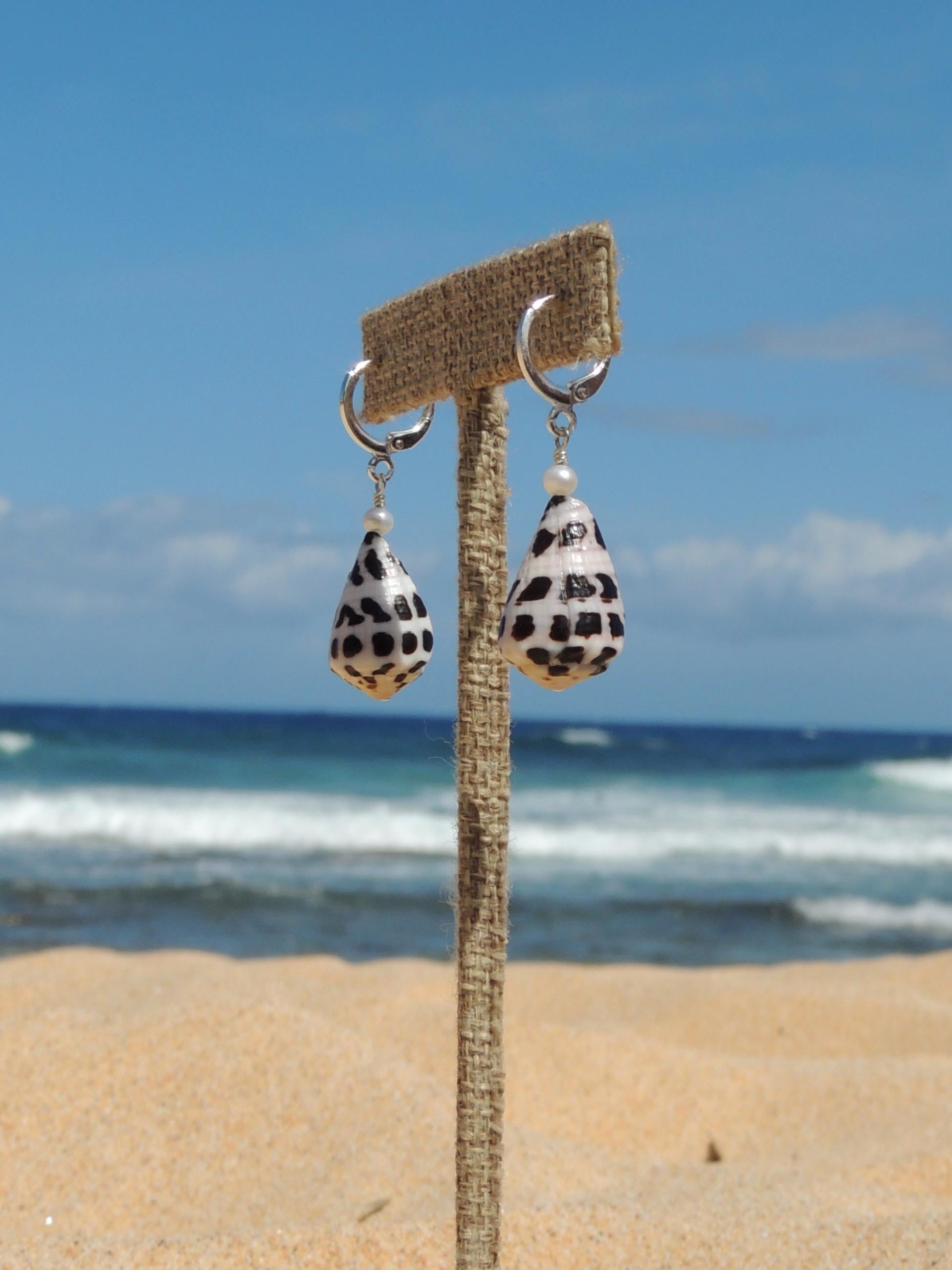 Hebrew Cone Shell Huggies