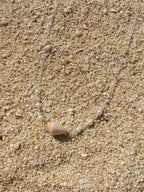 Cone Shell Choker Necklace