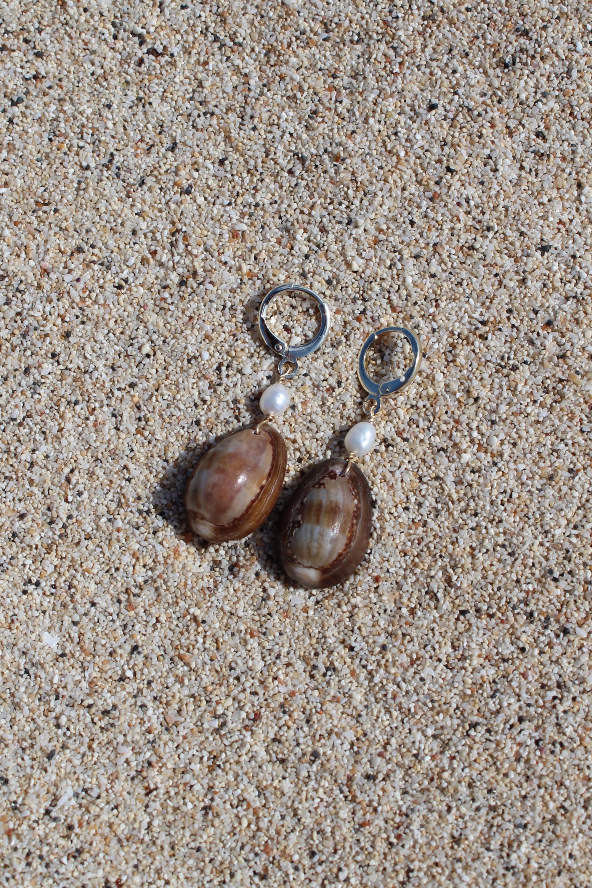 Brown Cowrie Shell Huggies