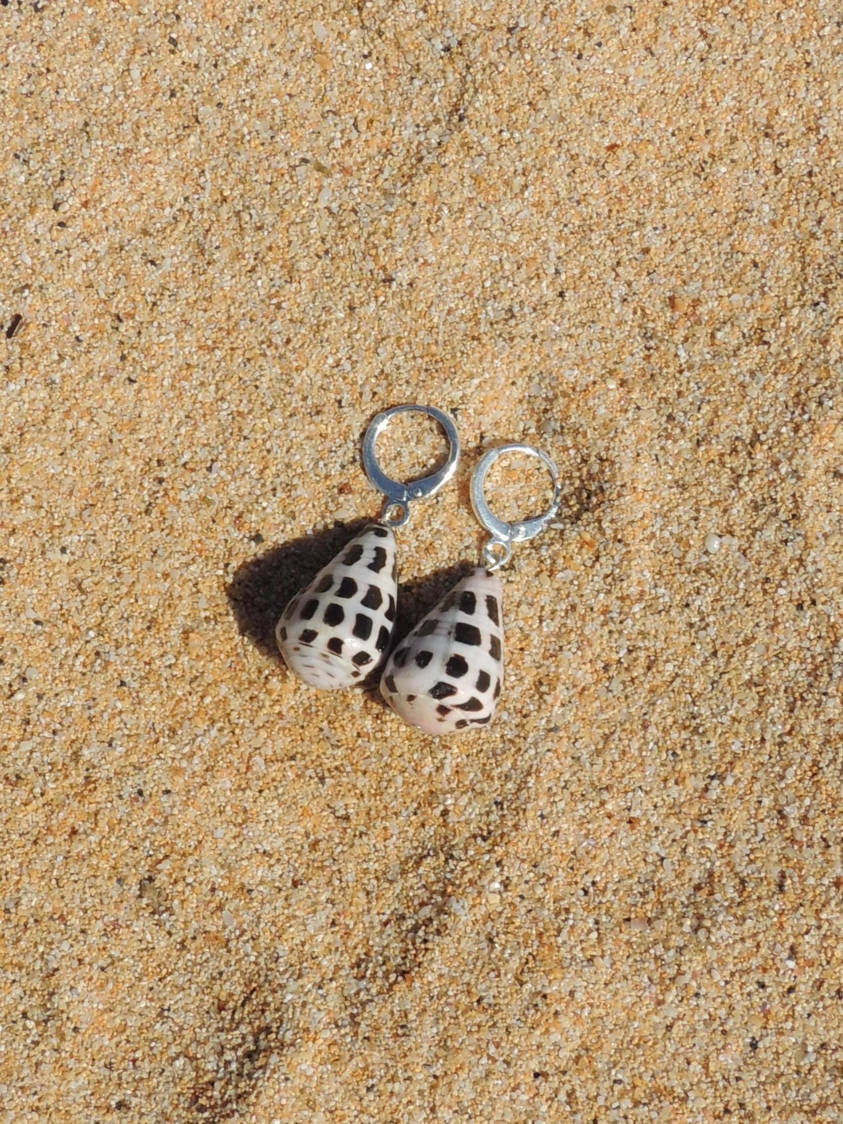 Hebrew Cone Shell Huggies