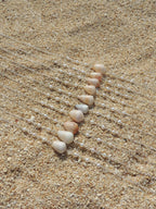 Cone Shell Choker Necklace