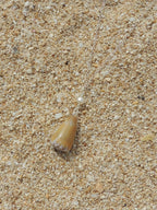 Cone Shell Necklace
