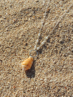 Stromb Shell Necklace
