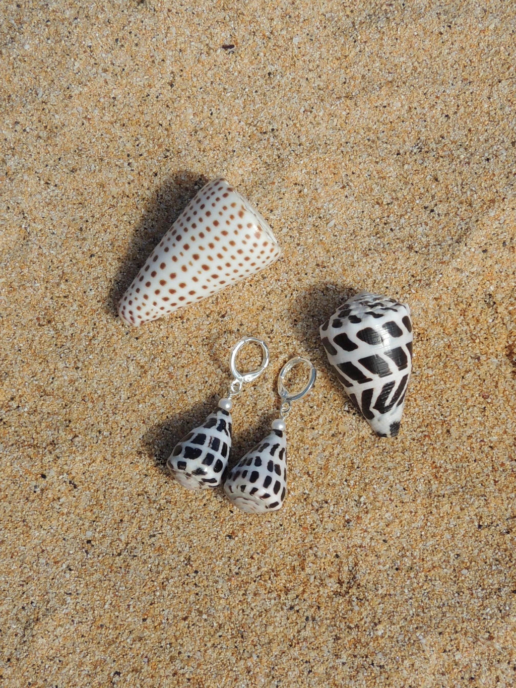 Hebrew Cone Shell Huggies