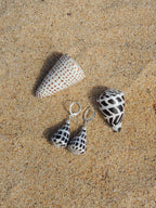 Hebrew Cone Shell Huggies