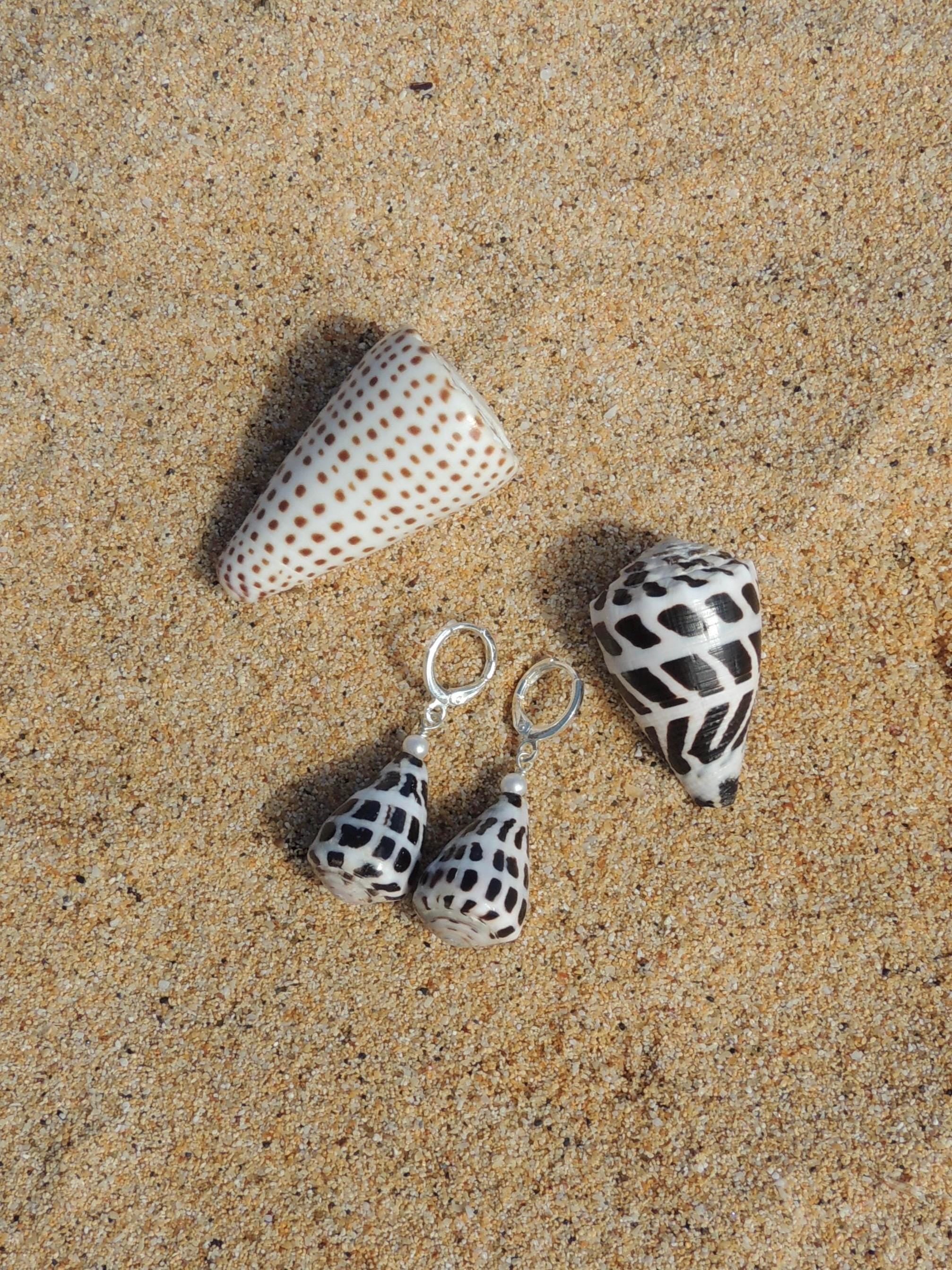 Hebrew Cone Shell Huggies