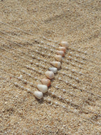 Cone Shell Choker Necklace