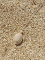 Granulated Cowrie Shell Necklace