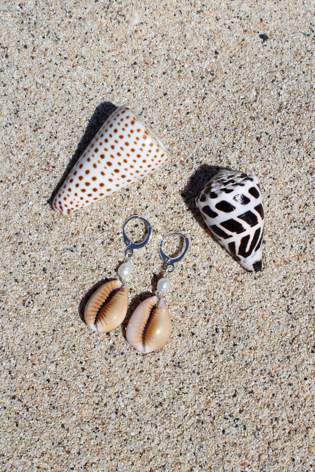 Honey Cowrie Shell Huggies