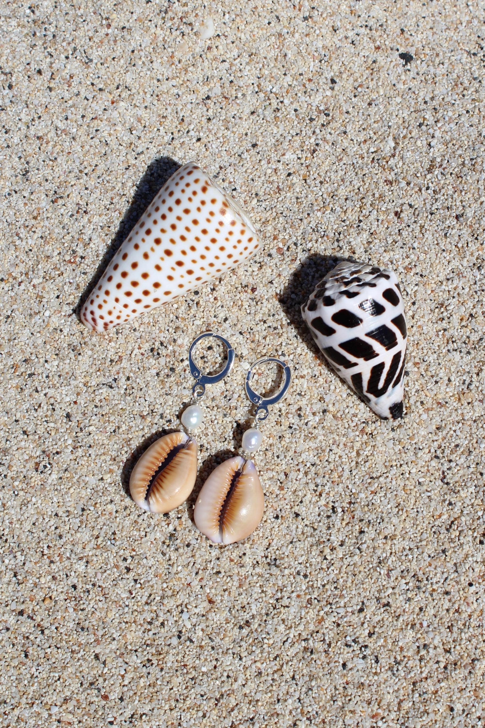 Honey Cowrie Shell Huggies