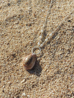 Honey Cowrie Shell Necklace