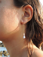 Triton Shell Chain Earrings