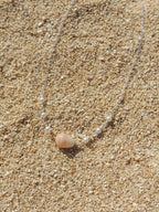Cone Shell Choker Necklace