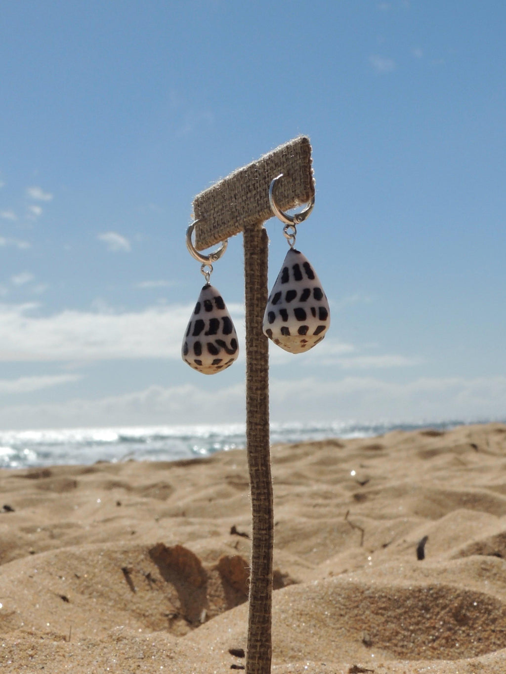 Hebrew Cone Shell Huggies