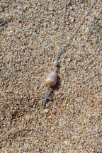 Cone Shell / Cross Charm Necklace