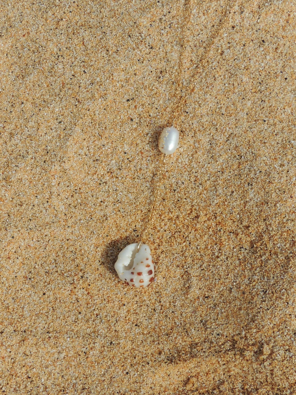 Drupe Shell Lariat Necklace