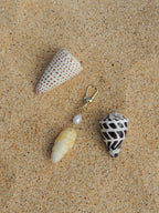 Miter Shell Keychain