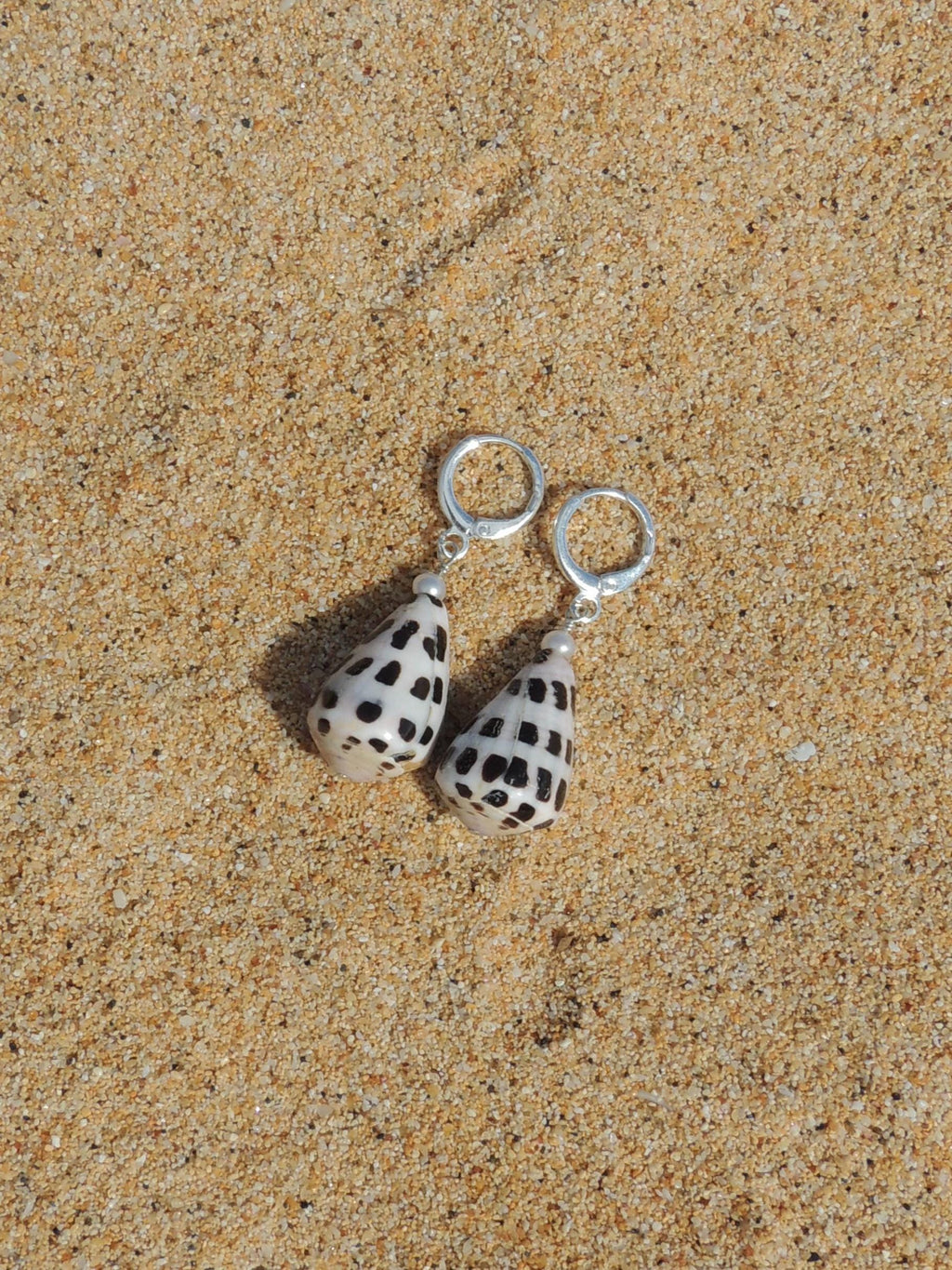 Hebrew Cone Shell Huggies