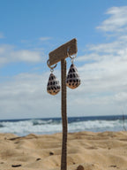 Hebrew Cone Shell Huggies