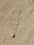 Cone Shell / One-Sided Pearl Necklace
