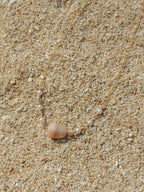 Cone Shell Choker Necklace