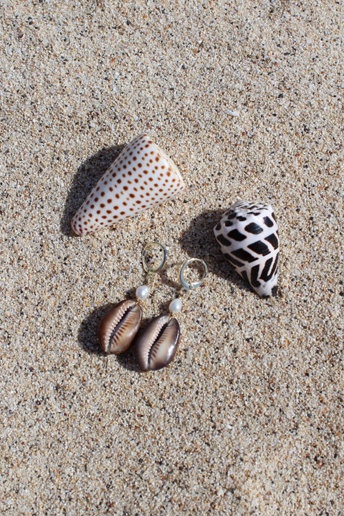 Brown Cowrie Shell Huggies