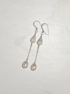 Cone Shell Chain Earrings