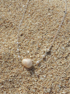 Cone Shell Choker Necklace