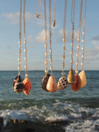 Stromb Shell Lariat Necklace