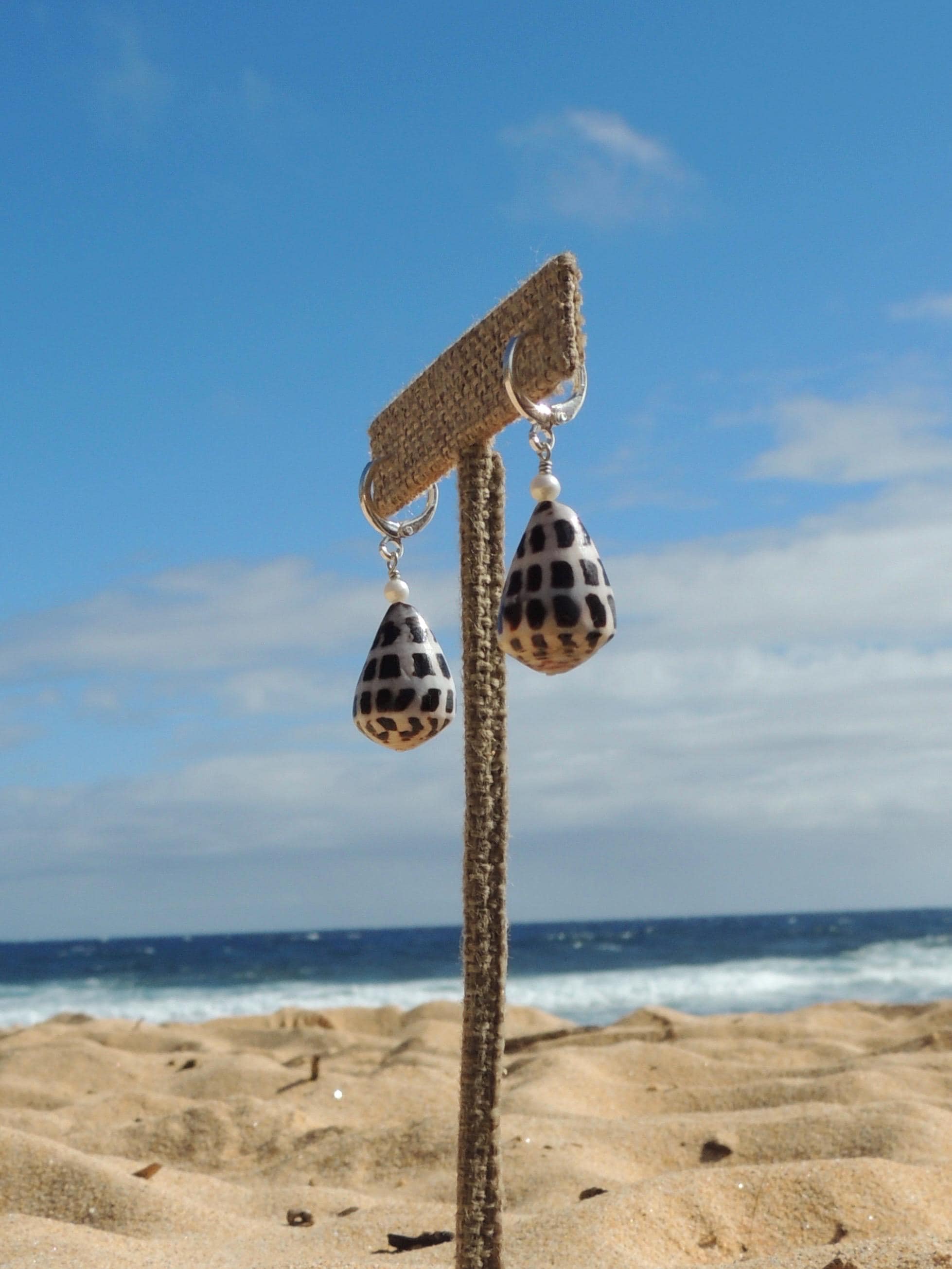Hebrew Cone Shell Huggies