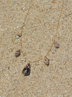 Shell Charm Necklace