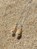 Stromb Shell Threaders