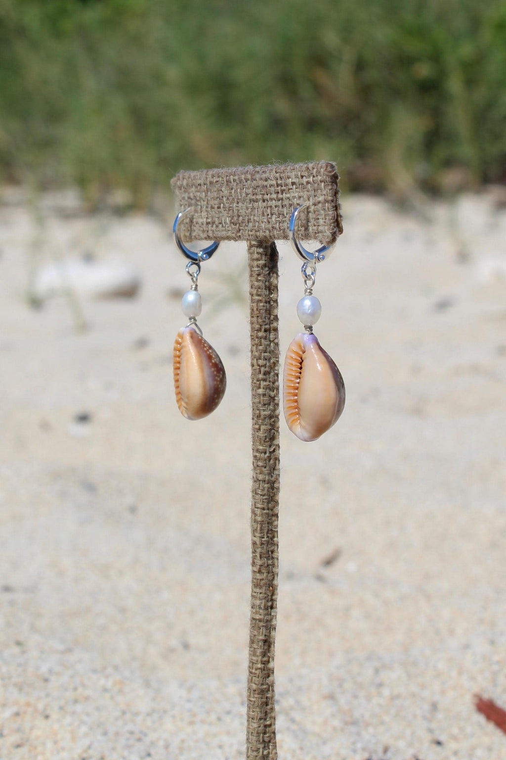 Honey Cowrie Shell Huggies