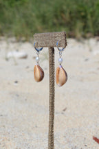 Honey Cowrie Shell Huggies
