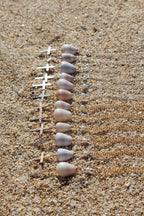 Cone Shell / Cross Charm Necklace