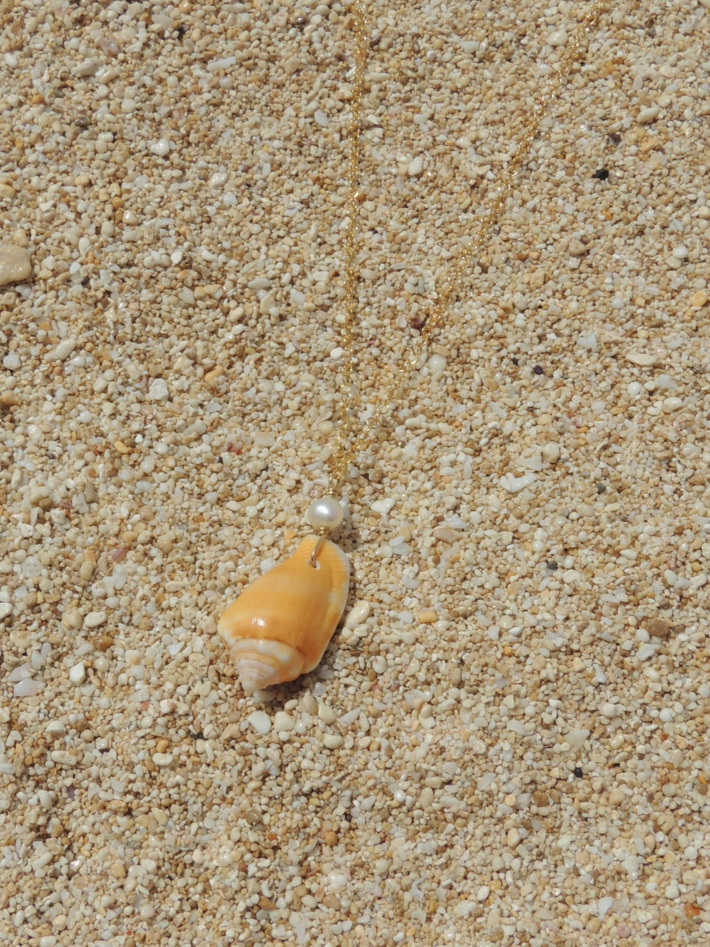 Stromb Shell Necklace