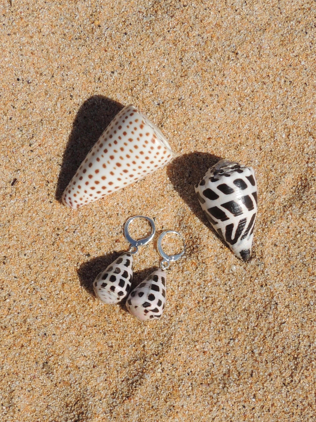 Hebrew Cone Shell Huggies