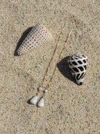 Cone Shell Threaders
