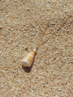Cone Shell Necklace