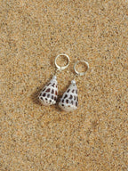 Hebrew Cone Shell Huggies