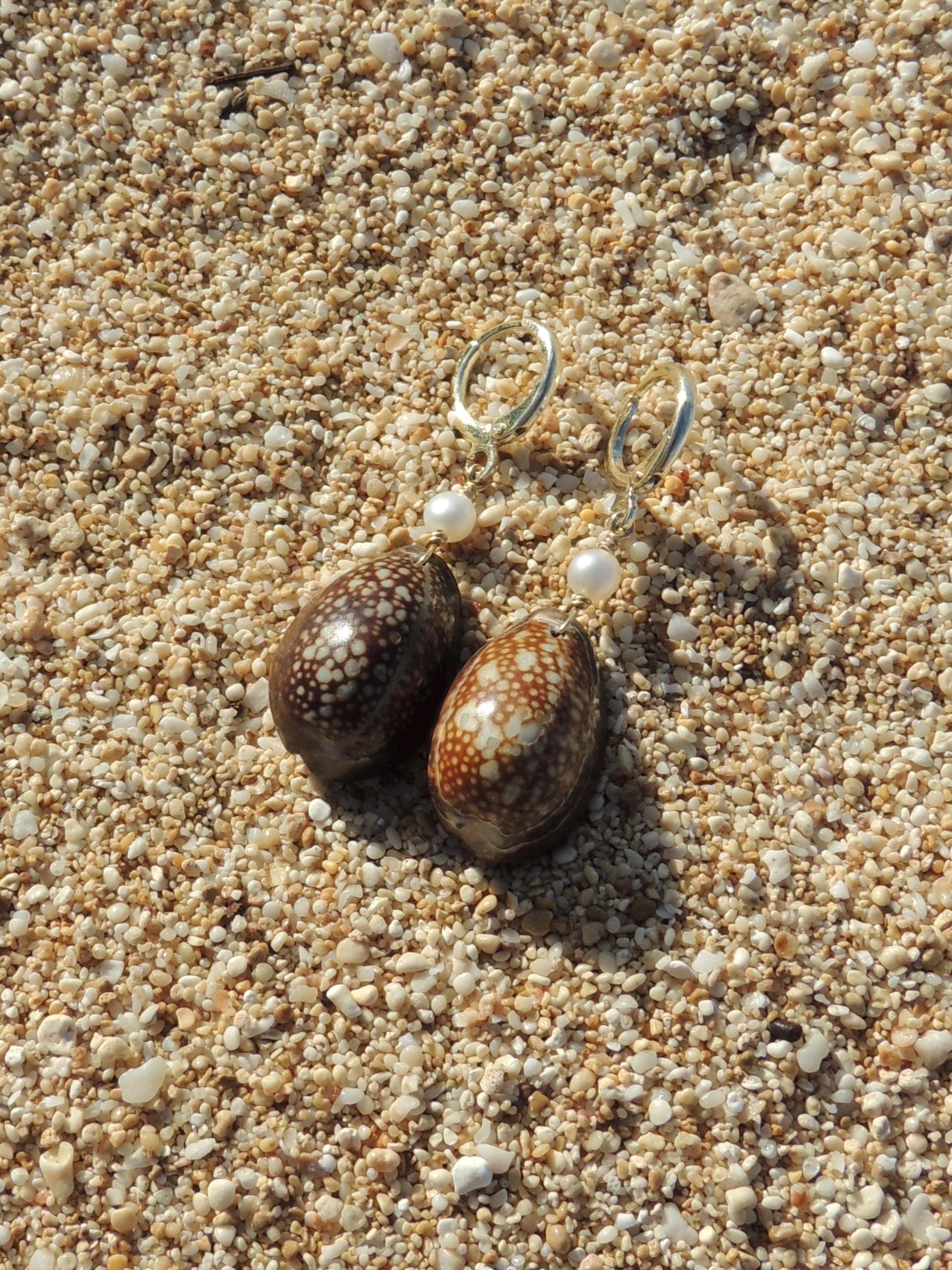 Brown Cowrie Shell Huggies